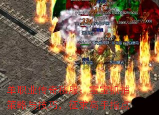 ְҵ˽ץ뼼ɣָ