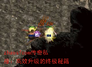 zhaosfcom˽Чռؼ