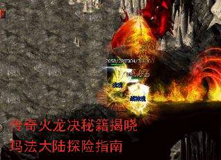 ؼ귨½ָ̽