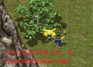 传奇私服满V无限元宝:变态服攻略通关秘籍大揭秘 传奇私服满V无限元宝:变态服攻略通关秘籍大揭秘