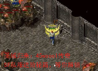 ʥ45wooolSF˽ؼ