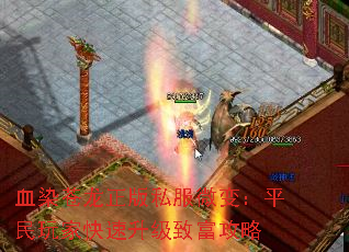 ѪȾ˽΢䣺ƽҿ¸
