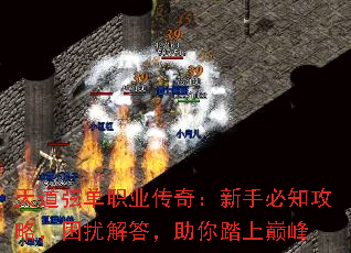 ҵְҵ棺ֱ֪ԣŽ̤۷