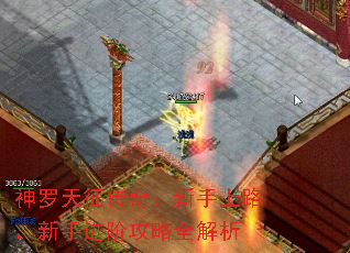 棺·ֽ׹ȫ
