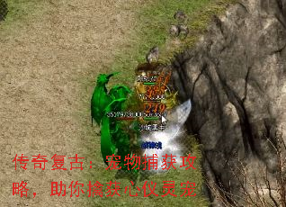 渴ţﲶԣܻ