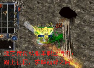 ̬˽ְҵ棺̤̣۷֮·