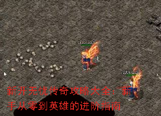 ¿Ǵ湥Դȫִ㵽Ӣ۵Ľָ