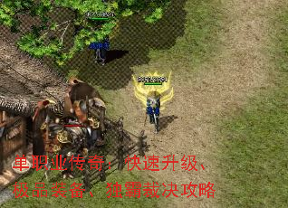 ְҵ棺ƷװԲþ