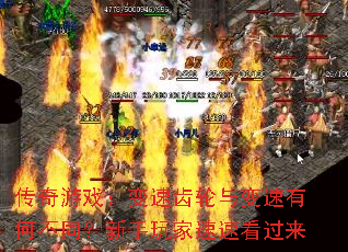 传奇游戏：变速齿轮与变速有何不同？新手玩家速速看过来