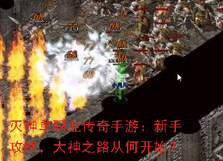 ְҵΣֹԣ֮·Ӻοʼ