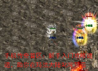 ֻŹٵݣ귨½߳
