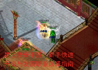 Σֿ뷢չְҵѡָ