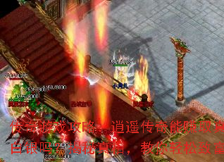 Ϸԣң׬ȡ𣿽࣬¸
