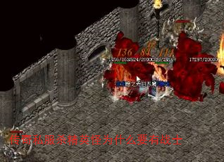 ˽ɱӢΪʲôҪսʿ
