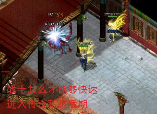 սʿôܹٽ봫˽