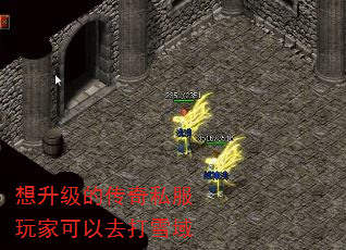 Ĵ˽ҿȥѩ