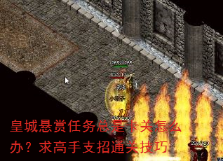 ʳǿô죿֧ͨؼ