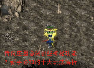 ׯ԰Щعܣֱ֪ʮ淨