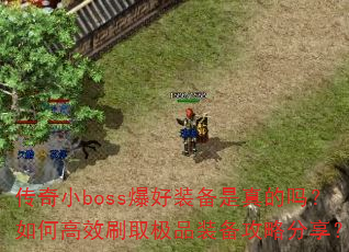 СbossװθЧˢȡƷװԷ