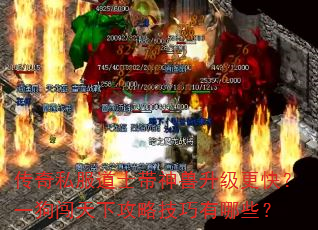 ˽ʿ죿һ¹ԼЩ