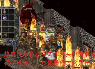 热血传奇私服中击杀双头巨魔能否获得特殊称号?具体操作攻略是什么? 热血传奇私服中击杀双头巨魔能否获得特殊称号?具体操作攻略是什么?