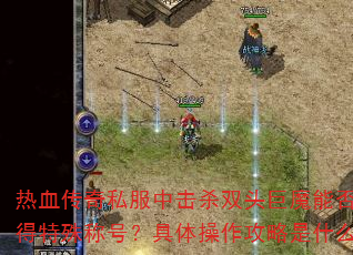 热血传奇私服中击杀双头巨魔能否获得特殊称号?具体操作攻略是什么? 热血传奇私服中击杀双头巨魔能否获得特殊称号?具体操作攻略是什么?