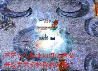 苍茫ii单职业如何快速提升战力并轻松称霸全服? 苍茫ii单职业如何快速提升战力并轻松称霸全服?