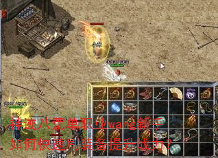 񼣰˻ĵְҵwangοˢװս