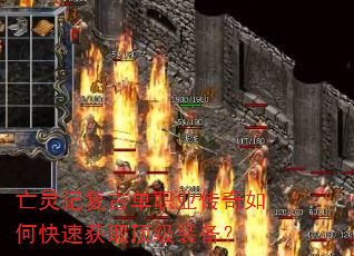Ǹŵְҵοٻȡװ