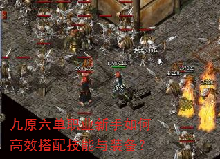 ԭְҵθЧ似װ