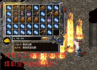 ¼ѡְҵ뼼ܴ䣿