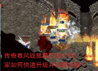 洺սǵְҵVIPοưȫ