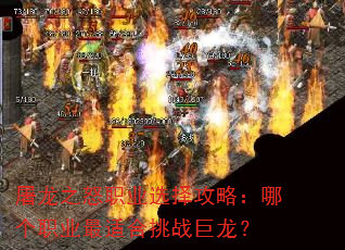 ֮ŭְҵѡԣĸְҵʺս