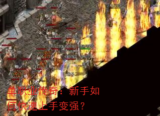 ְҵ棺οֱǿ