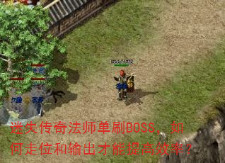 ʧ淨ʦˢBOSSλЧʣ