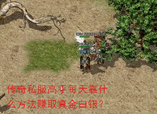 ˽ÿ쿿ʲô׬ȡ