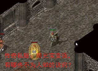 ˽ԪǿЩΪ֪ľϣ
