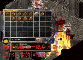˽ʿǲPK򱦵񼼰