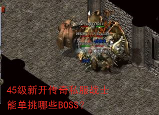 45¿˽սʿܵЩBOSS