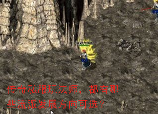˽淨ʦЩɷչѡ
