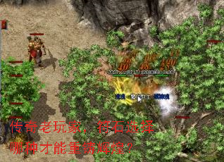 ңʯѡֲԻͣ