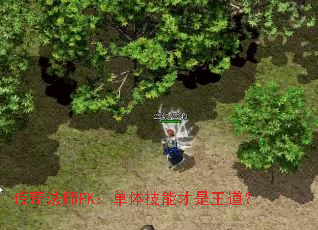 淨ʦPK弼ܲ