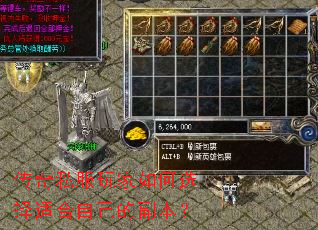 传奇私服玩家如何选择适合自己的副本? 传奇私服玩家如何选择适合自己的副本?