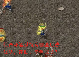 传奇酿酒系统有哪些玩法优势,能助力角色成长? 传奇酿酒系统有哪些玩法优势,能助力角色成长?