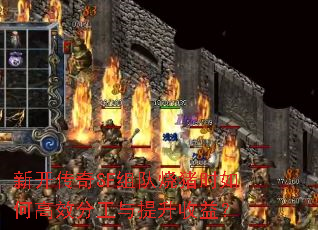 新开传奇SF组队烧猪时如何高效分工与提升收益? 新开传奇SF组队烧猪时如何高效分工与提升收益?