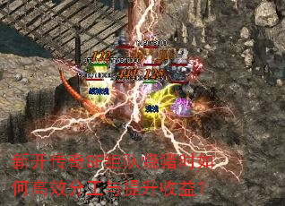 新开传奇SF组队烧猪时如何高效分工与提升收益? 新开传奇SF组队烧猪时如何高效分工与提升收益?