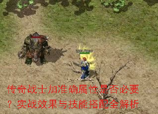 传奇战士加准确属性是否必要?实战效果与技能搭配全解析 传奇战士加准确属性是否必要?实战效果与技能搭配全解析