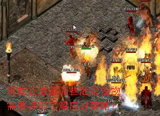毒蛇谷潜藏哪些危险怪物需要提前了解应对策略? 毒蛇谷潜藏哪些危险怪物需要提前了解应对策略?