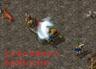 龙牙属性如何提升才能称霸玛法大陆? 龙牙属性如何提升才能称霸玛法大陆?