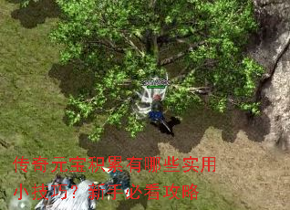 传奇元宝积累有哪些实用小技巧?新手必看攻略 传奇元宝积累有哪些实用小技巧?新手必看攻略